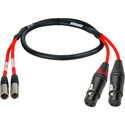 Photo of Laird RD1-2MXM2XF 2-Channel Mini XLR-M to XLR-F Red Camera Audio Input Cable 2 Foot