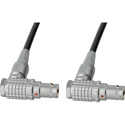 Photo of Laird RD1-COM10-18IN RS422 Command Cable - Lemo RA 10-Pin to RA 10-Pin - 18 Inch