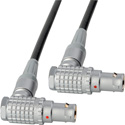 Photo of Laird RD1-COM3-02 Red One RS232 AUX Cable - RA 10-Pin to RA 10-Pin - 2 Foot