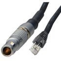 Laird Red One Ethernet Data Cable - Lemo 9-Pin to RJ45 - 3 Foot