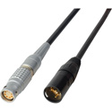 Laird RD1-PWR11-01 Power Cable 12V DC Lemo 3B 8-Pin Female to 4-Pin XLR Male - 1 Foot