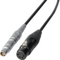 Laird Power Cable 12V DC Lemo 1S 3-Pin Split-Gender to 4-Pin XLR Female - 1 Foot