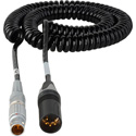 Laird RD1-PWR2-2C Red One 12V DC Power Cable Lemo 2B 6-Pin Male to 4-Pin XLR Male - 2-5 Foot Coiled