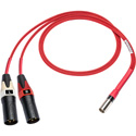 Photo of Laird RD1-TA5M2XM-10 Line Audio Out Breakout for Red One Camera 5-Pin Mini XLR Male to Dual 3-Pin XLR Male - 10 Foot