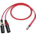 Photo of Laird RD1-TA5M2XM-18IN Line Audio Out Breakout for Red One Camera 5-Pin Mini XLR Male to Dual 3-Pin XLR Male - 18 Inch