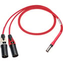 Laird RD1-TA5M2XM-18IN Line Audio Out Breakout for Red One Camera 5-Pin Mini XLR Male to Dual 3-Pin XLR Male - 18 Inch