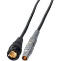 Laird Red One Timecode In Cable Lemo 5-Pin Male to BNC - 1 Foot