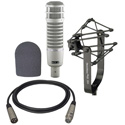 Electro-Voice RE20 Broadcaster Microphone Kit w/ 309A Suspension Mount/Foam Windscreen/15ft XLR Cable