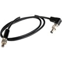 Remote Audio BDSCZSTA100 BDS Power Output Cable RA Coaxial Plug to 760 Locking Coaxial - 2 Foot