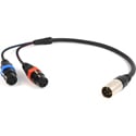 Remote Audio CAXSTEX5M Balanced Stereo Breakout Cable - 2 x XLR3F to XLR5M 18 Inch (5 inch Fan)