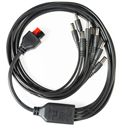 RF Venue DC-OCTOPUS DC Power Distribution Cable for COMBINE8 or DISTRO9