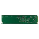 Ross SEA-8803-R2S HD/SD-SDI openGear Equalizing DA with Split Rear Module