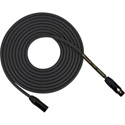 Rapco HOGM-12.K Roadhog Series HOGM Microphone Cable - 12 Feet