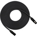 Photo of Rapco HOGMPRO-25.K Gold PRO Microphone Cable with Neutrik XLR Female To XLR Male Connectors: 25 Feet