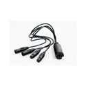 SoundTools CAT Tails CTFMX - 2 Female XLR &  2 Male XLR 24 Inch Breakout Tails To Female etherCON - Send/Receive