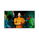 Samsung QB55C 55 Inch Commercial 4K UHD LED Monitor for Digital Signage - 3840 x 2160 Resolution