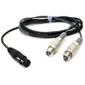 Sanken SC-532/0.3 5-Pin XLR Female to Dual 3-Pin XLR Male Adapter Y-Cable - 1 Foot