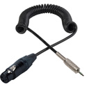 Photo of Sescom ENG Cable 3-Pin XLR Female to 3.5mm TRS Balanced Male - 6 Foot Coiled
