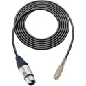 Sescom Audio Cable Canare Star-Quad 3-Pin XLR Female to 3.5mm TRS Balanced Female - Black - 100 Foot