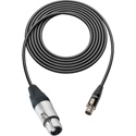 Photo of Sescom SC10XJTJ3 Audio Cable Canare L-2B2AT 3-Pin XLR Female to 3-Pin Mini XLR Female - 10 Foot