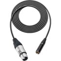 Sescom SC1XJT3 Audio Cable Canare L-2B2AT 3-Pin XLR Female to 3-Pin Mini XLR Male - 1 Foot