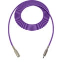Photo of Sescom SC25MZMJZPE Audio Cable Canare Star-Quad 3.5mm TRS Balanced Male to 3.5mm TRS Balanced Female Purple - 25 Foot