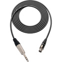 Photo of Sescom Audio Cable Canare L-2B2AT 3-Pin Mini XLR Female to 1/4 TRS Balanced Male - 25 Foot