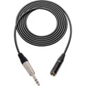 Sescom Audio Cable Canare L-2B2AT 3-Pin Mini XLR Male to 1/4 TRS Balanced Male - 3 Foot