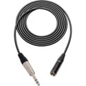 Photo of Sescom SC3T3SZ Audio Cable Canare L-2B2AT 3-Pin Mini XLR Male to 1/4 TRS Balanced Male - 3 Foot