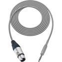 Photo of Sescom Audio Cable Canare Star-Quad 3-Pin XLR Female to 1/4-Inch TRS Balanced Male - Grey - 75 Foot