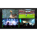 Photo of Science Image Dyna View NDI Software for Up to 27 NDI Sources with Audio Auto-Switching and Volume Control
