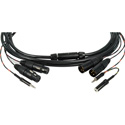 Photo of Sescom ENG Camera Field Breakaway Cable for Field Mixers 2-Channel XLR w/ Monitor Out - 25 Foot