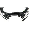 Photo of Sescom ENG Camera Field Breakaway Cable for Field Mixers 2-Channel XLR w/ Monitor Out - 6 Foot