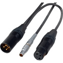 Laird SD-TCD4-01 Sound Devices Time Code Jamming Cable Lemo 5-Pin Male to XLR Male & XLR Female - 1 Foot