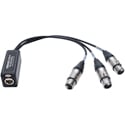 Sescom SES-3XLRF-CAT 3 Channel Passive Balanced Audio Extender Snake over CAT5/6/7 - RJ45 to 3 Female XLR Connectors