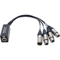 Photo of Sescom SES-4XLR1M3F-CAT 4 Channel Passive Balanced Audio Extender Snake over CAT5/6/7- RJ45 to 1 Male & 3 Female XLR