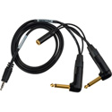 Sescom Blackmagic Cinema Camera to Zoom/Tascam/Roland Audio Cable Dual 1/4 TS Mono Male to 3.5mm TRS Ba