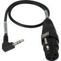 Photo of Sescom CAMCORD-MIC 3-Pin XLR Female to 3.5mm TRS Unbalanced Male Mic to DSLR Audio Input Cable - 1.5 Foot