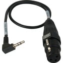 Photo of Sescom CAMCORD-MIC 3-Pin XLR Female to Right Angle 3.5mm TRS Unbalanced Male Mic to DSLR Audio Input Cable - 1.5 Foot