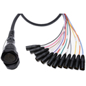 Photo of Sescom DT12 Female Breakout Cable to 12 Male XLR- 25 Foot