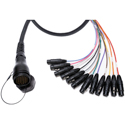 Photo of Sescom SES-DT12MXF-003 DT12 Male Breakout Cable to 12 Female XLR- 3 Foot