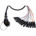 Photo of Sescom DT12 Male Breakout Cable to 12 Female XLR- 25 Foot