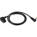Sescom Blackmagic Pocket Camera Anton Bauer/IDX D-Tap to DC Plug - 18 Inch