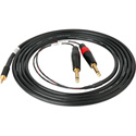 Photo of Sescom SES-IPOD-QTRM10 Audio Breakout Y-Cable 3.5mm TRS Stereo Male to Dual 1/4 TS Mono Male - 10 Foot