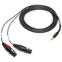 Photo of Sescom SES-IPOD-XLRF06 Audio Breakout Y-Cable 3.5mm TRS Stereo Male to Dual 3-Pin XLR Female - 6 Foot