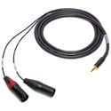 Sescom Audio Breakout Y-Cable 3.5mm TRS Stereo Male to Dual 3-Pin XLR Male - 3 Foot