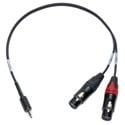Sescom iPod/iPad Compatible Summing Cable Dual 3-Pin XLR-F to 3.5mm TRRS Male Line to Mic Level - 12In.