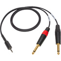 Photo of Sescom iPod/iPad Summing Cable Dual 1/4 TS Mono Male to 3.5mm TRRS Male for Apple Lightning Adapter - 3 Foot