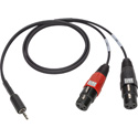 Photo of Sescom iPod/iPad Summing Cable Dual 3-Pin XLR Female to 3.5mm TRRS Male for Apple Lightning Adapter - 3 Foot