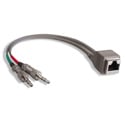 StudioHub ADAPT-MINIM RJ-45 Female to 1/8 Inch - 8 Inches